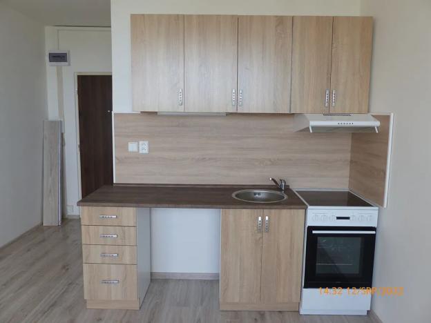 Prodej bytu 1+kk, Litvínov, Mostecká, 24 m2