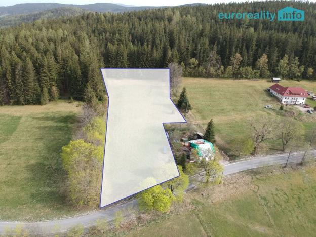 Prodej louky, Zdíkov - Masákova Lhota, 5869 m2