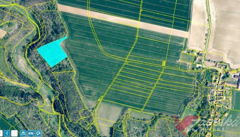 Prodej lesa, Chorušice, 11767 m2