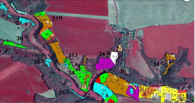 Prodej lesa, Chorušice, 11767 m2
