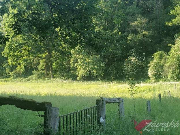 Prodej lesa, Chorušice, 11767 m2