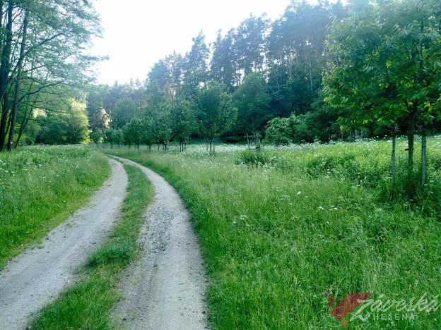 Prodej lesa, Chorušice, 11767 m2