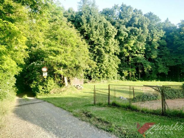 Prodej lesa, Chorušice, 11767 m2