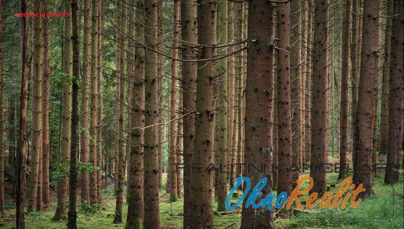 Prodej lesa, Oseček, 78338 m2