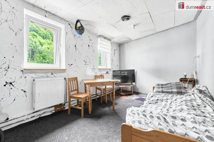 Prodej rodinného domu, Jáchymov, tř. Čs. armády, 380 m2