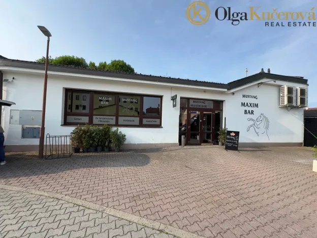 Prodej obchodního prostoru, Letovice, Masarykovo náměstí, 860 m2