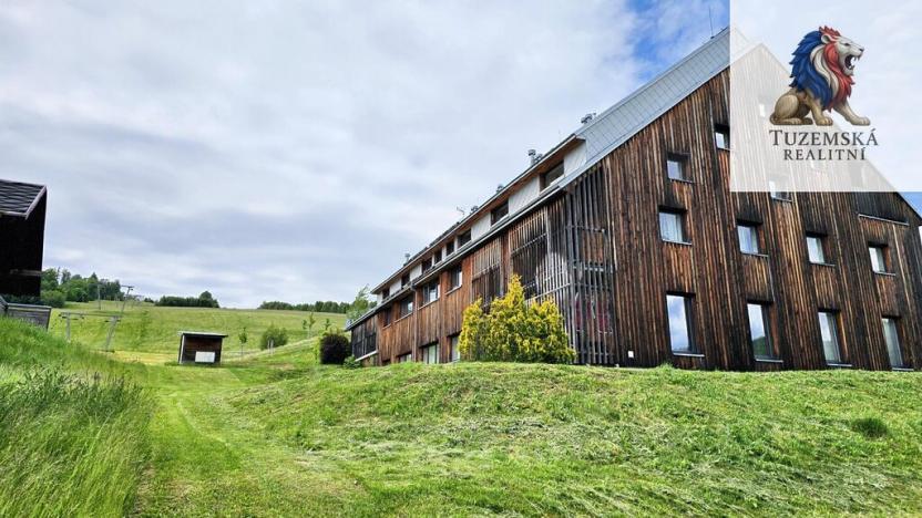 Prodej bytu 2+kk, Dolní Morava, 46 m2