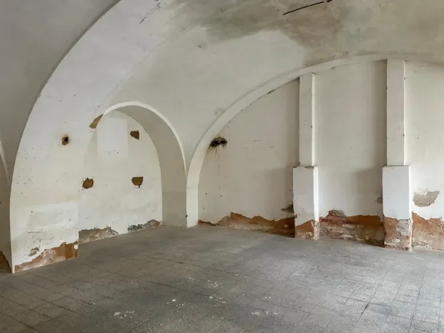 Pronájem výrobních prostor, Planá, Zámecká, 250 m2