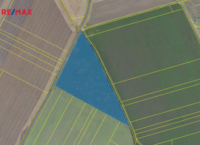 Prodej pole, Kněžice, 40299 m2