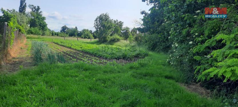 Prodej zahrady, Loučany, 1622 m2