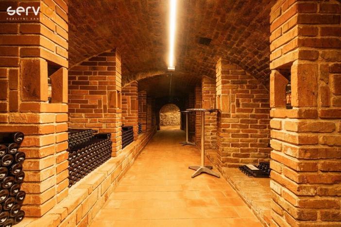 Prodej vinného sklepa, Dolní Dunajovice, Hlavní, 500 m2