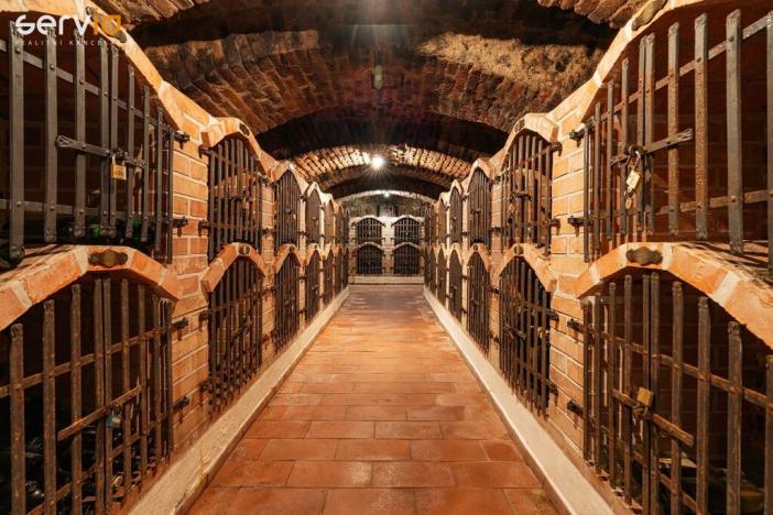 Prodej vinného sklepa, Dolní Dunajovice, Hlavní, 500 m2