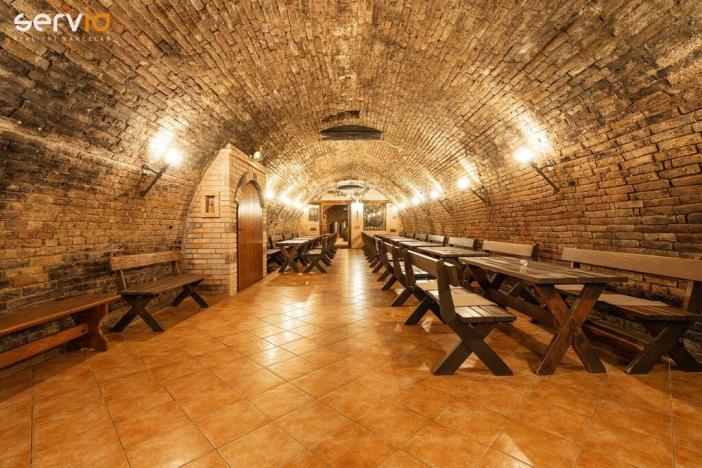 Prodej vinného sklepa, Dolní Dunajovice, Hlavní, 500 m2