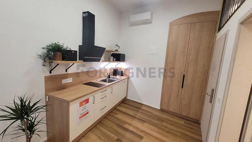 Pronájem bytu 1+kk, Brno, Vlhká, 35 m2