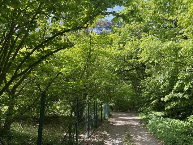 Pronájem sadu/vinice, Praha - Točná, Ke starému hřišti, 3842 m2