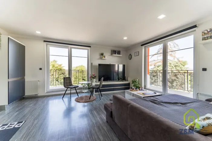 Prodej bytu 3+kk, Březová, Hlavní, 94 m2