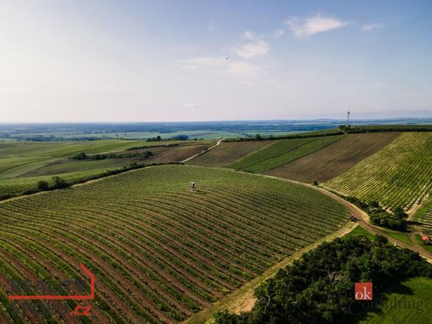 Prodej pozemku, Zaječí, 256256 m2