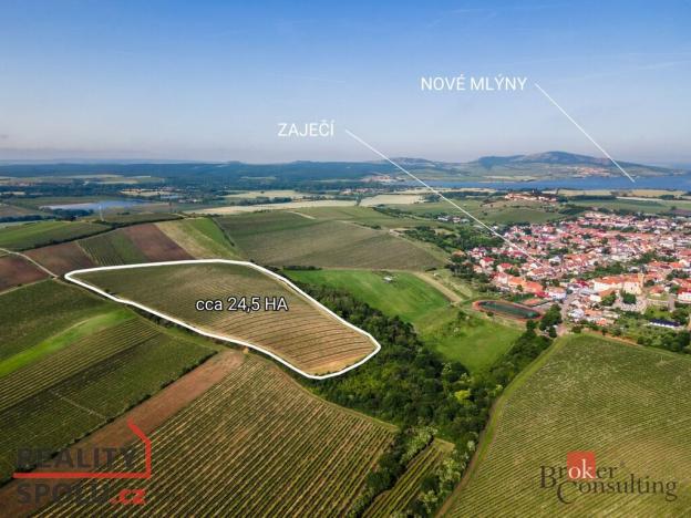 Prodej pozemku, Zaječí, 256256 m2