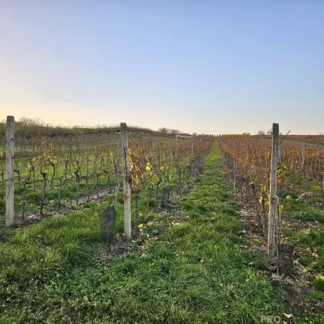 Prodej domu na klíč, Starý Poddvorov, 250 m2