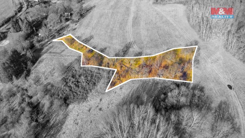 Prodej louky, Žandov - Radeč, 3251 m2