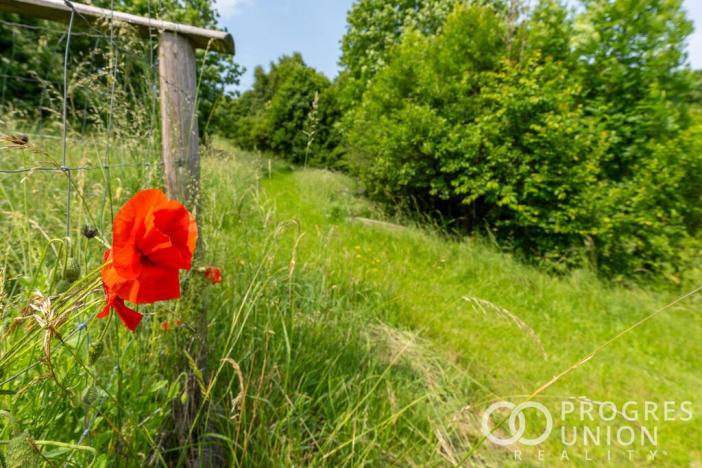 Prodej pozemku pro bydlení, Jablůnka, 46878 m2