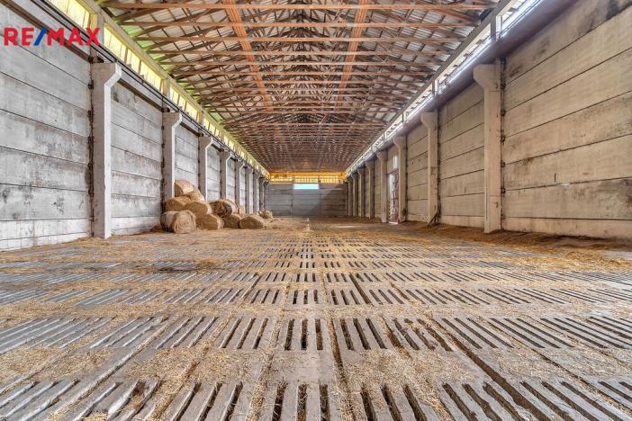 Prodej skladu, Bílá Třemešná, 1400 m2