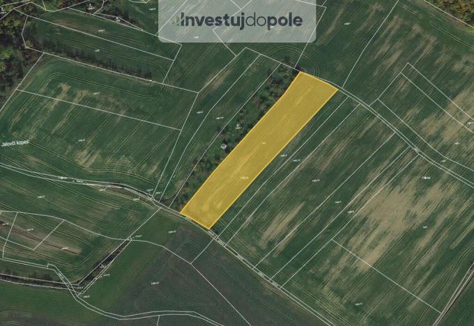 Prodej pole, Pavlice, 8074 m2