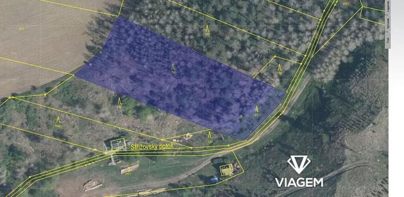Prodej lesa, Slavičky, 5350 m2