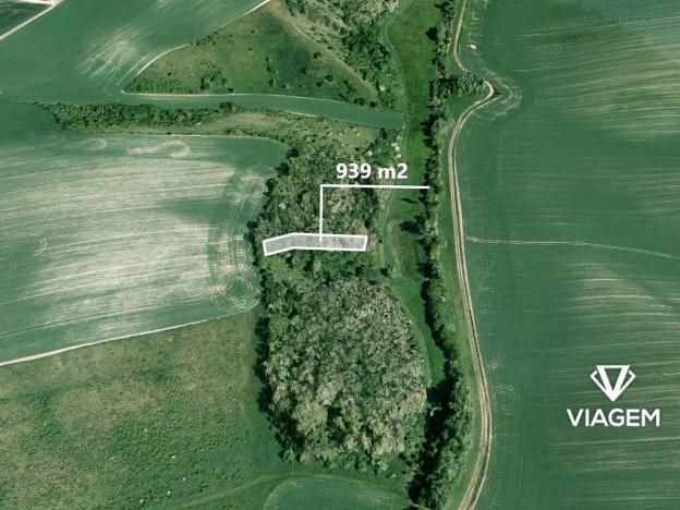 Prodej podílu lesa, Bošovice, 626 m2