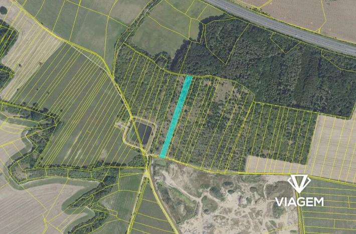 Prodej zahrady, Velenka, 6165 m2