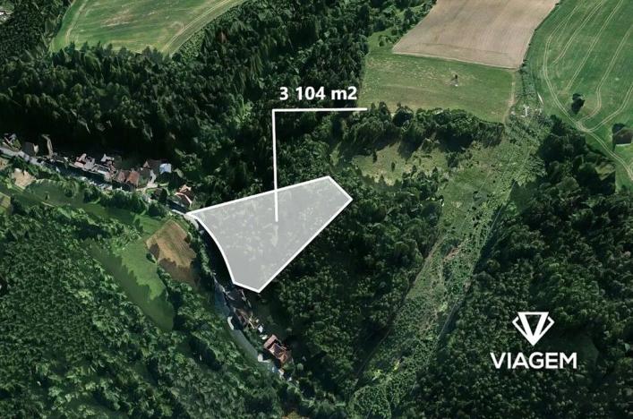 Prodej lesa, Letovice, 3104 m2