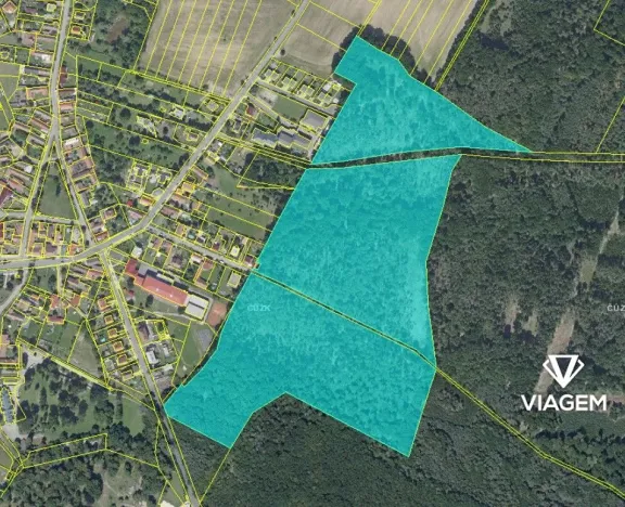 Prodej podílu lesa, Býchory, 11195 m2