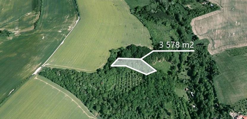 Prodej podílu lesa, Lhota, 257 m2