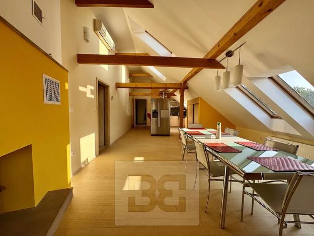 Pronájem bytu 5+kk, Velké Opatovice, Sokolská, 195 m2