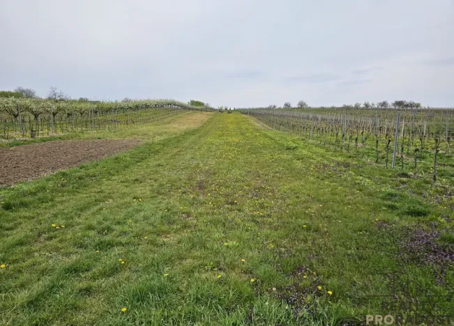 Prodej pozemku pro bydlení, Starý Poddvorov, 800 m2