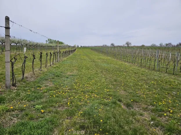 Prodej pozemku pro bydlení, Starý Poddvorov, 800 m2