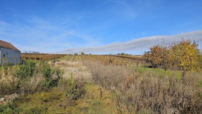 Prodej pozemku pro bydlení, Starý Poddvorov, 814 m2