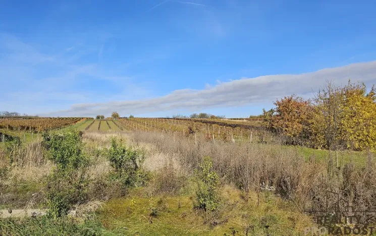 Prodej pozemku pro bydlení, Starý Poddvorov, 814 m2