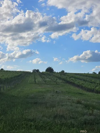 Prodej pozemku pro bydlení, Starý Poddvorov, 814 m2