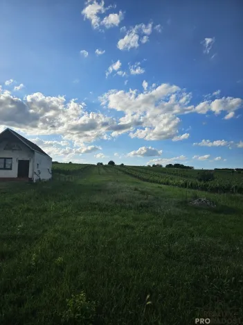 Prodej pozemku pro bydlení, Starý Poddvorov, 814 m2