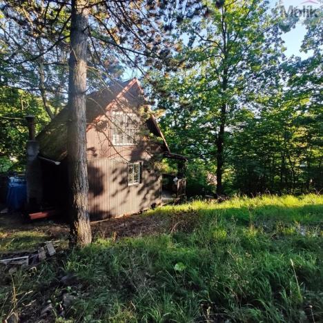 Prodej chaty, Ústí nad Labem - Brná, Pod Ostrým, 35 m2