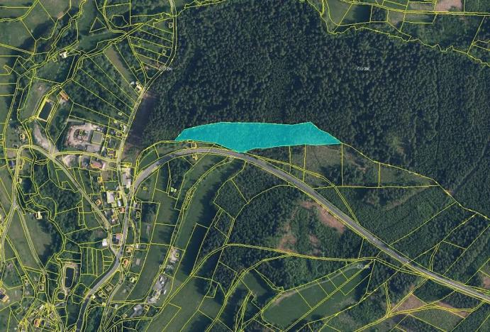 Prodej podílu lesa, Loužnice, 5026 m2