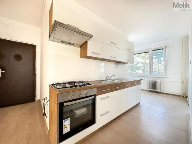 Pronájem bytu 3+1, Chomutov, Bezručova, 63 m2