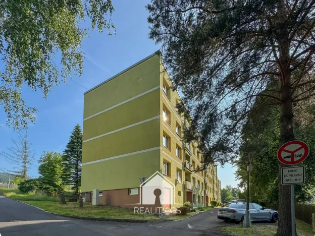 Prodej bytu 1+1, Jílové, Družstevní, 30 m2