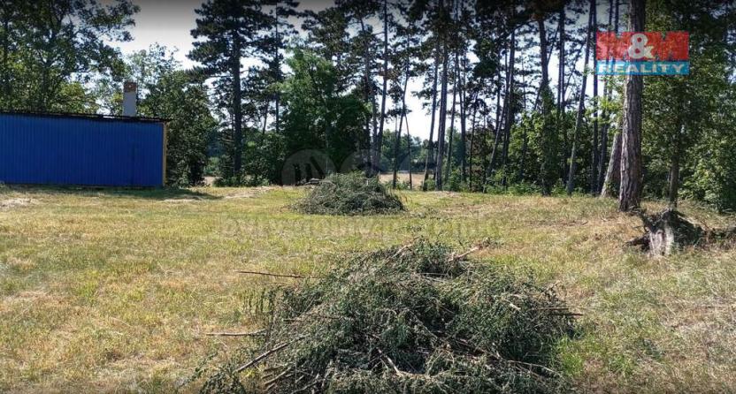 Prodej lesa, Unhošť, 3111 m2