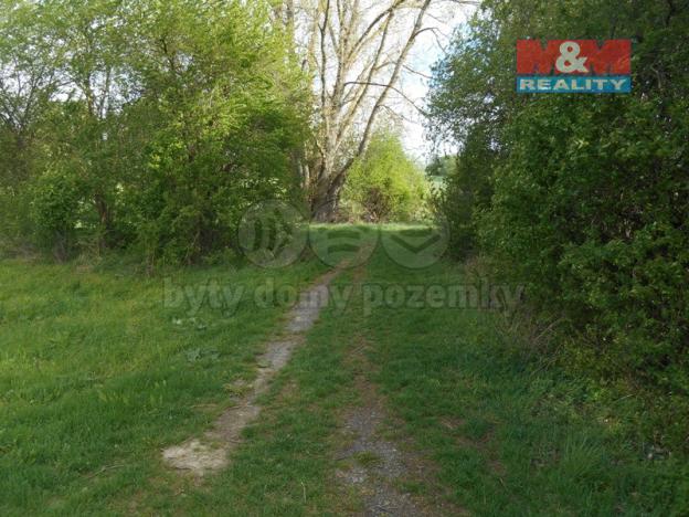 Prodej lesa, Unhošť, 3111 m2