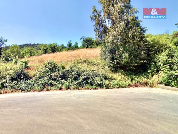 Prodej pozemku pro bydlení, Podhradí, 3377 m2