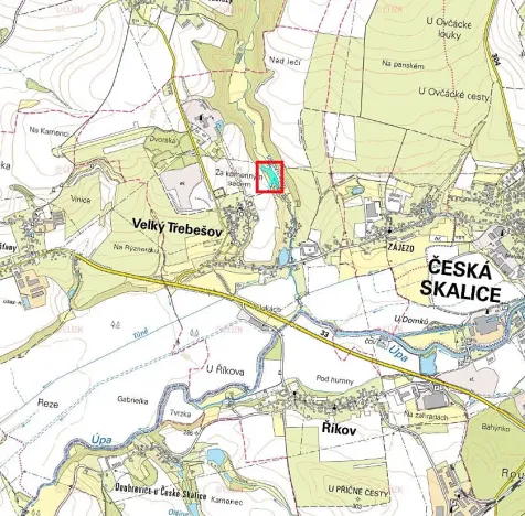 Prodej lesa, Velký Třebešov, 1090 m2