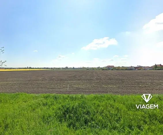 Prodej podílu pole, Běrunice, 1601 m2