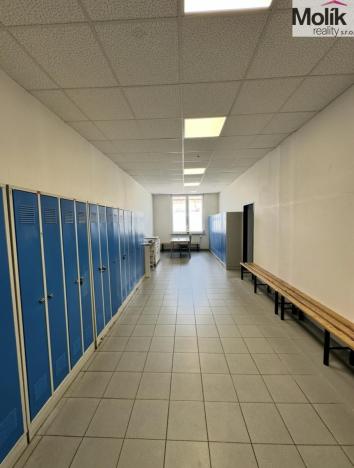 Prodej skladu, Chomutov, Pražská, 30000 m2